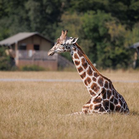 Knuthenborg Safaripark Hotel Maribo Buitenkant foto