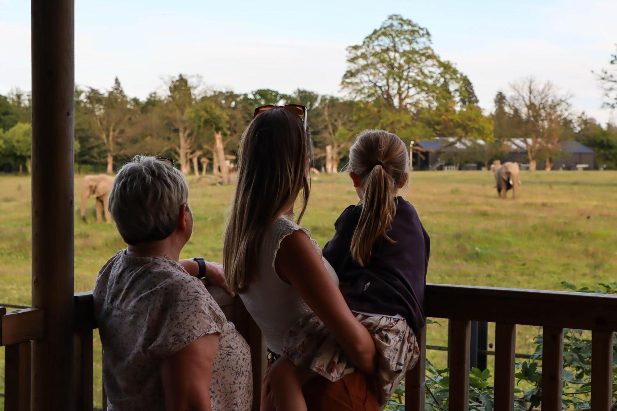Knuthenborg Safaripark Hotel Maribo Buitenkant foto