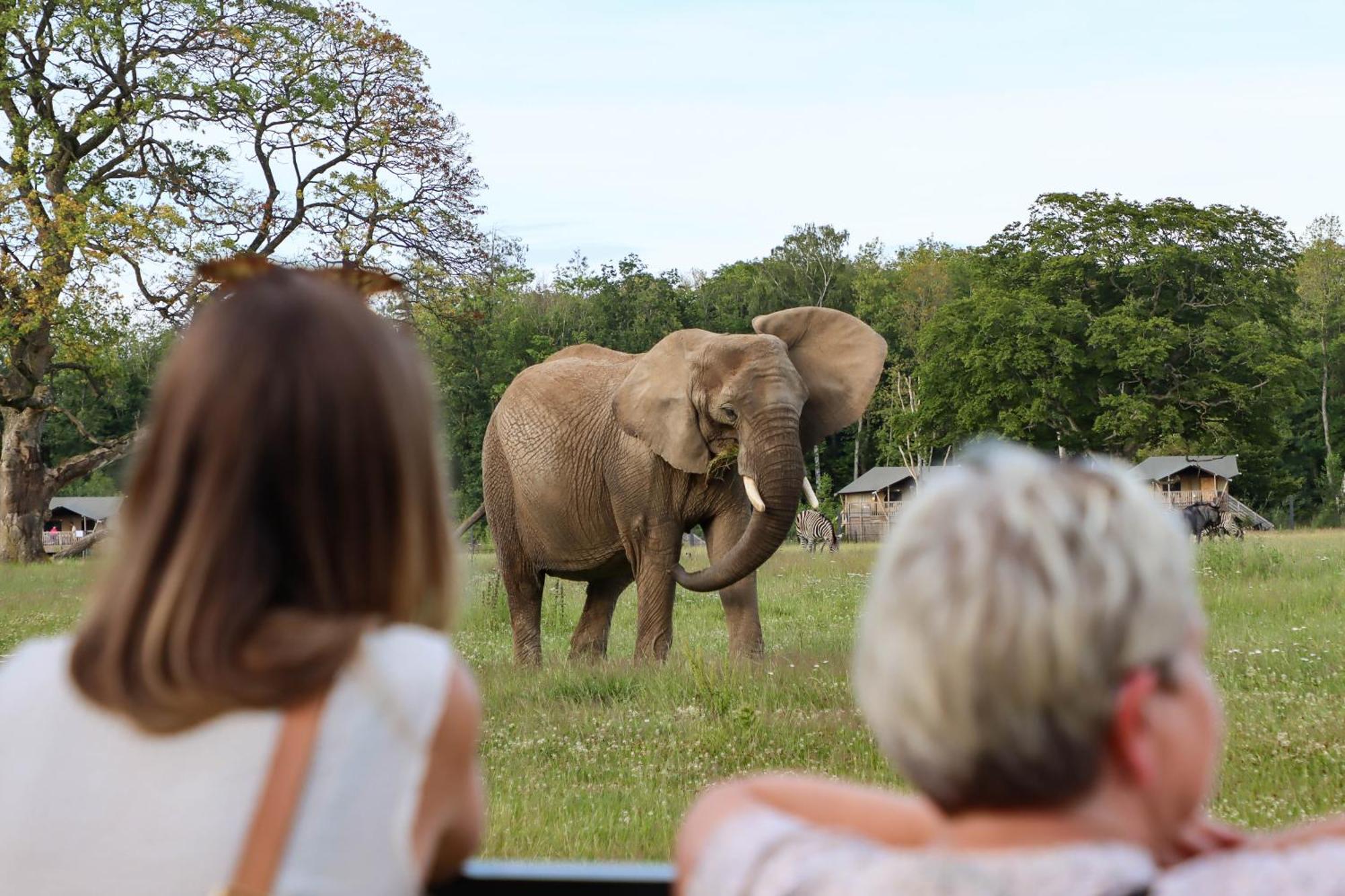 Knuthenborg Safaripark Hotel Maribo Buitenkant foto
