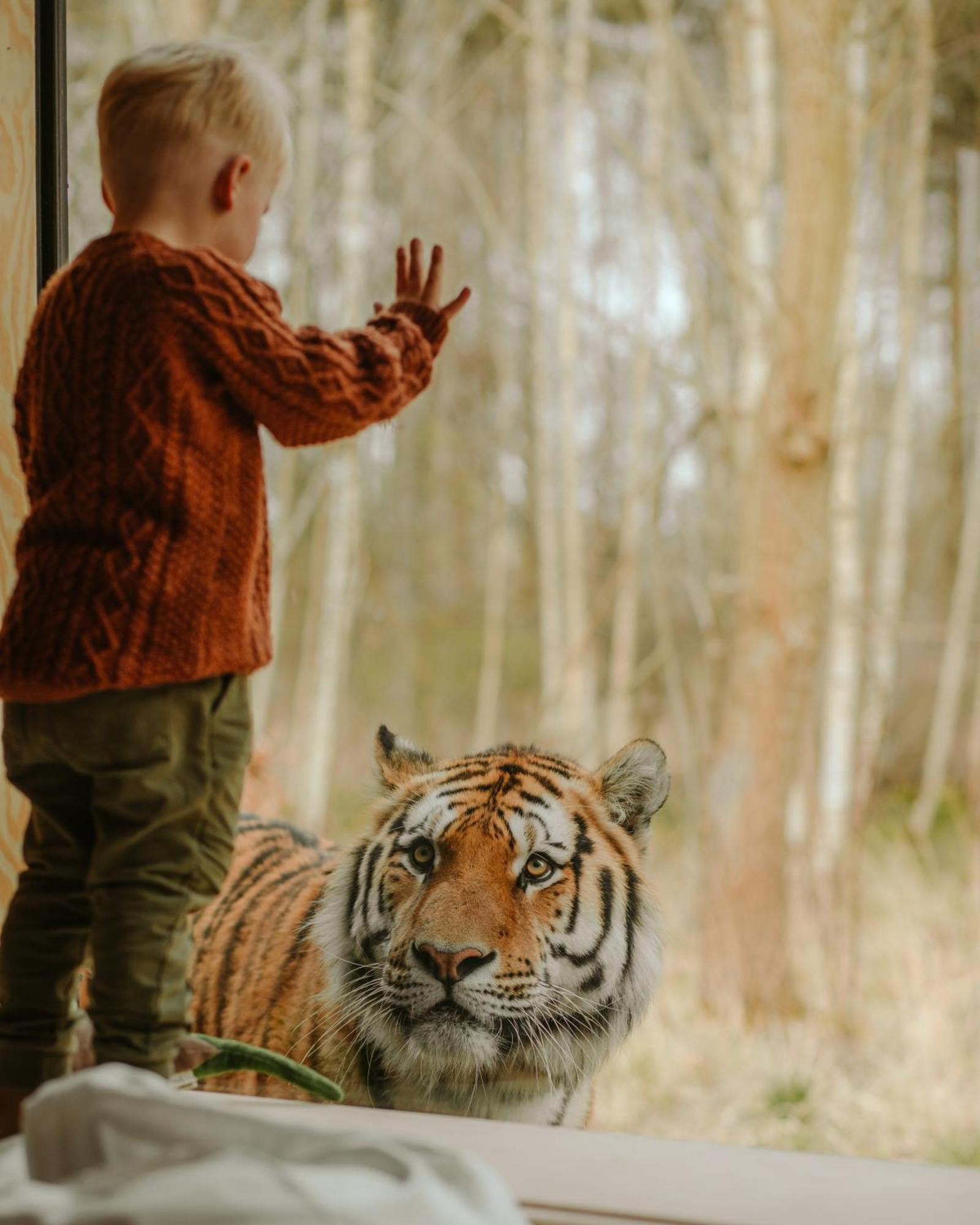 Knuthenborg Safaripark Hotel Maribo Buitenkant foto