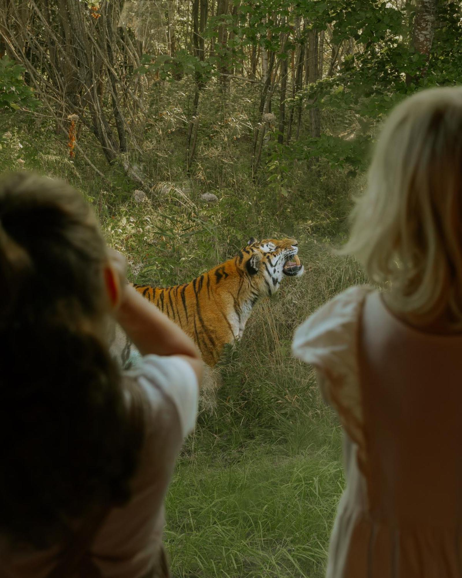Knuthenborg Safaripark Hotel Maribo Buitenkant foto