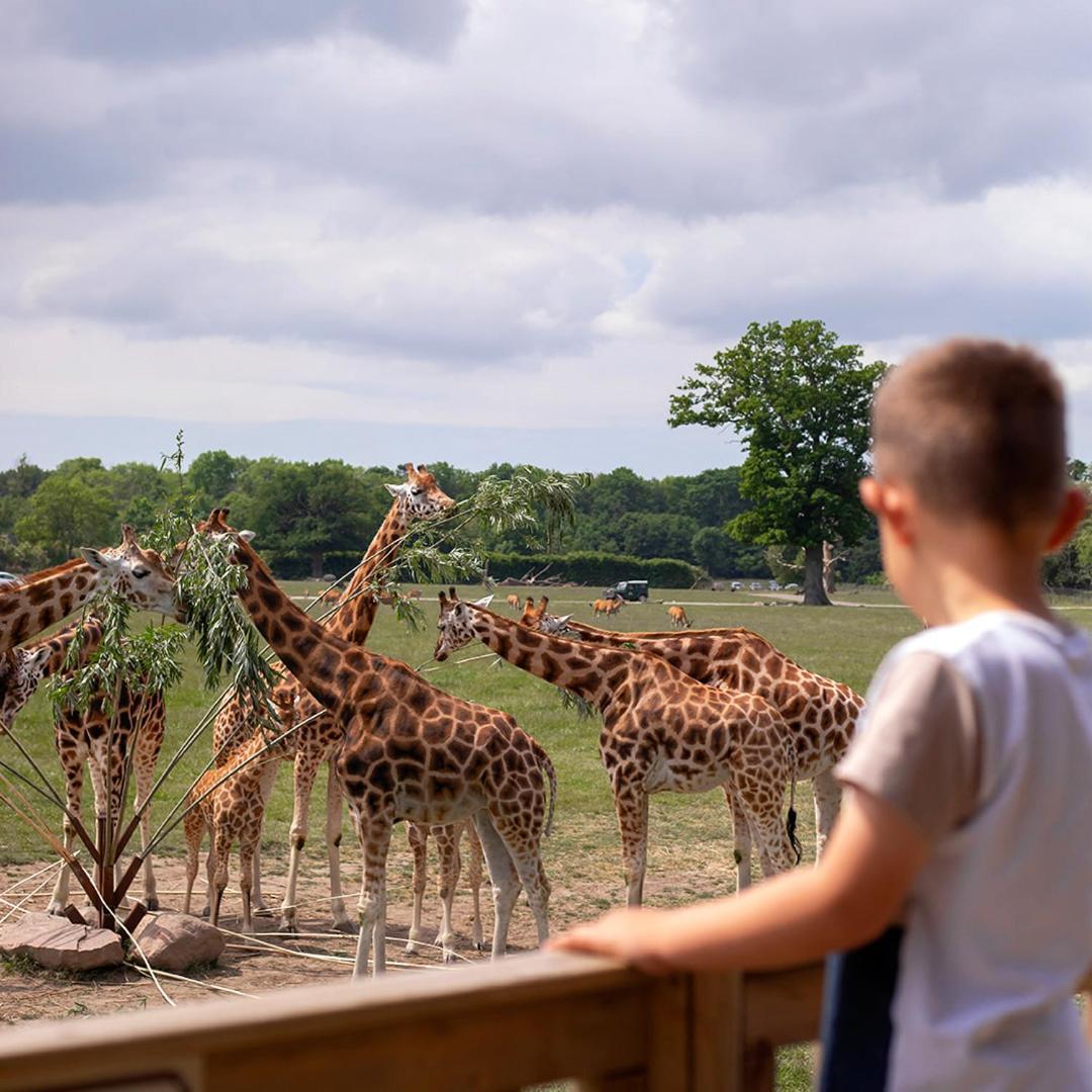 Knuthenborg Safaripark Hotel Maribo Buitenkant foto