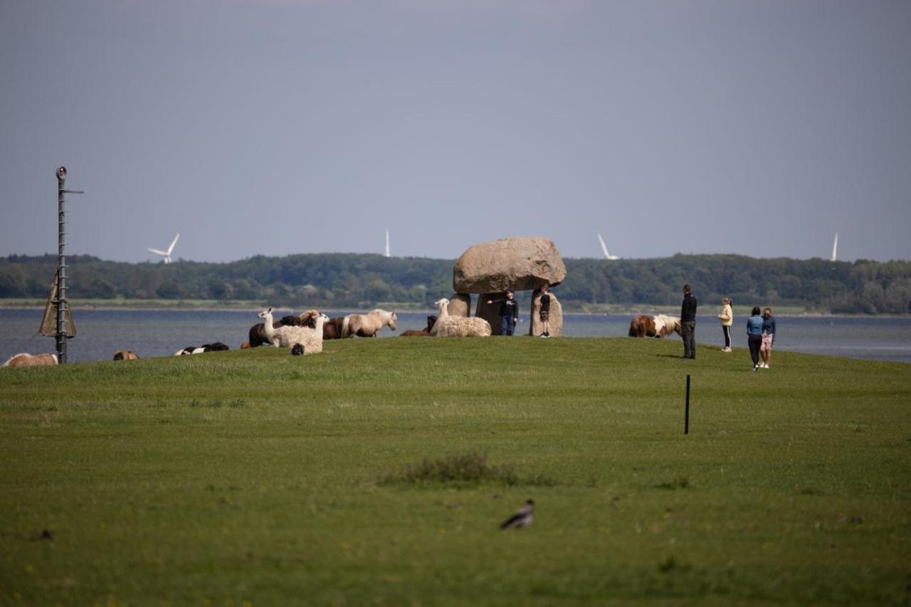 Knuthenborg Safaripark Hotel Maribo Buitenkant foto