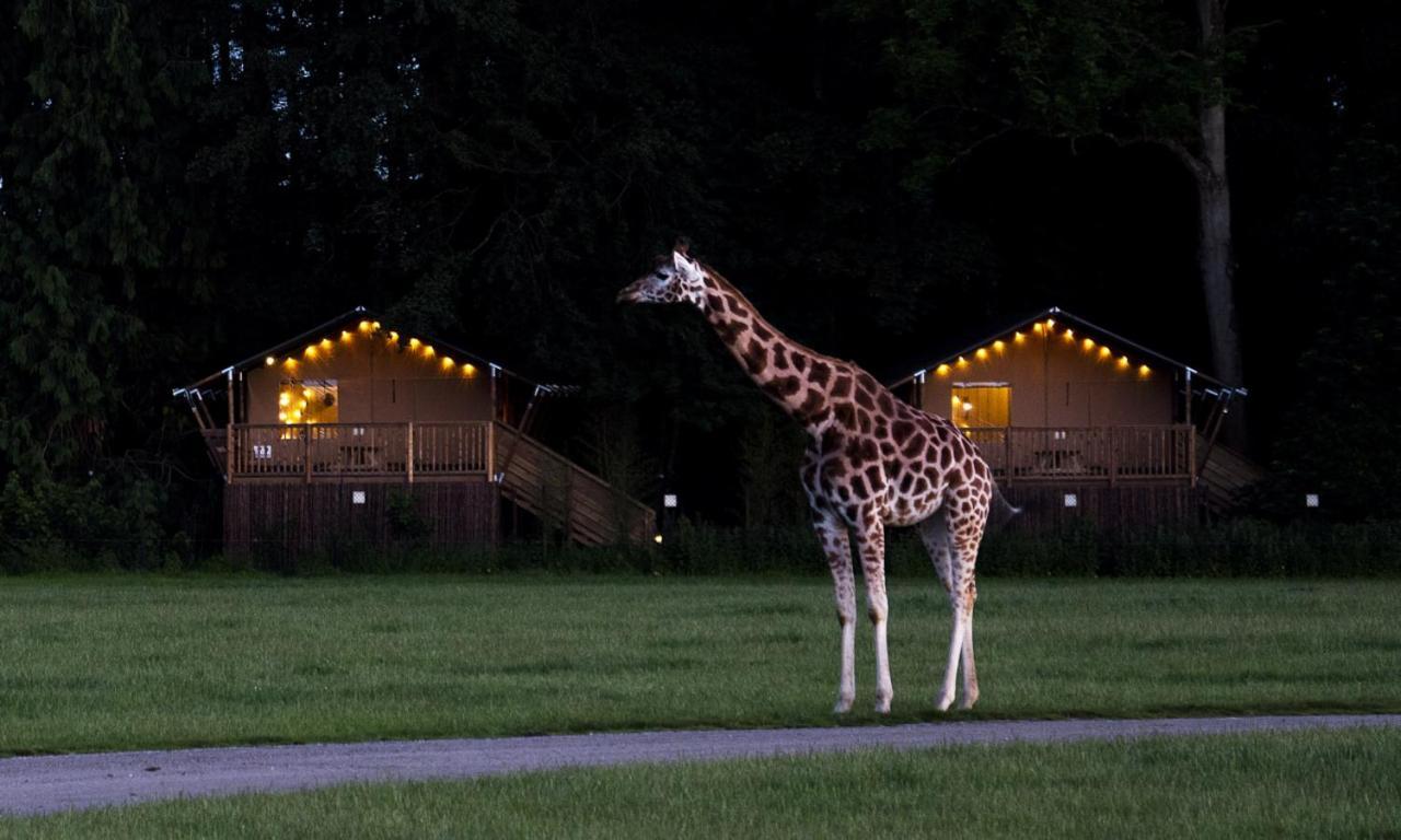 Knuthenborg Safaripark Hotel Maribo Buitenkant foto