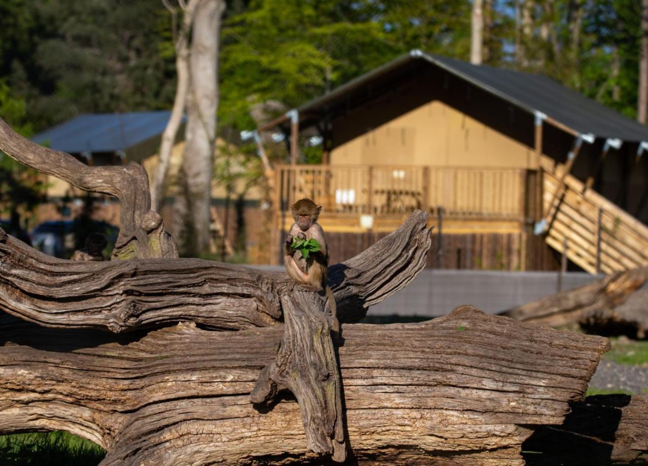 Knuthenborg Safaripark Hotel Maribo Buitenkant foto