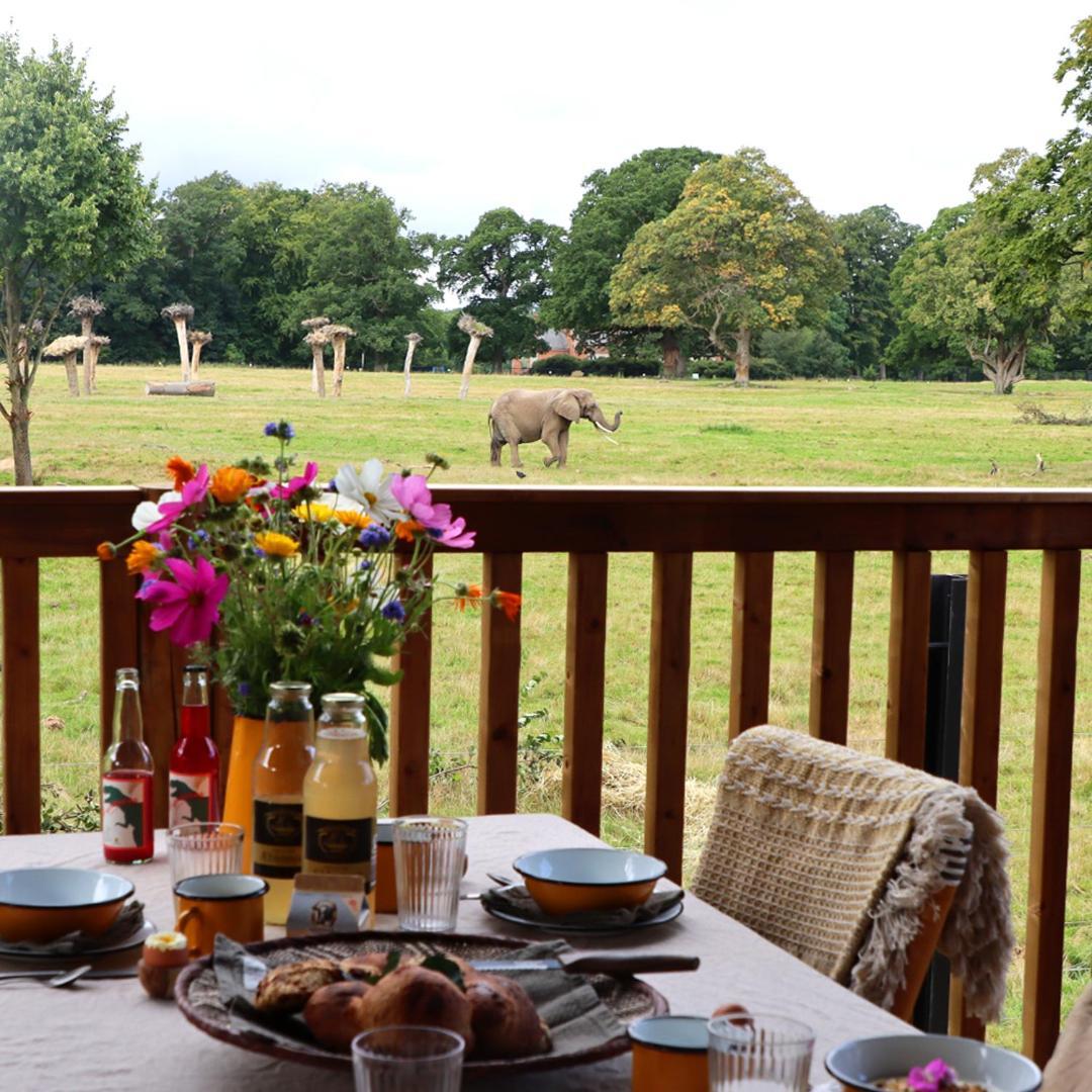 Knuthenborg Safaripark Hotel Maribo Buitenkant foto